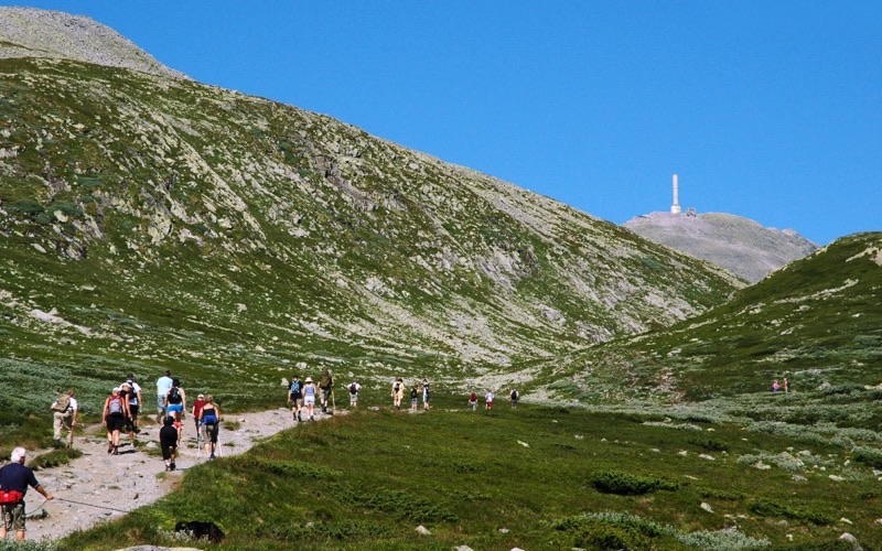 Hikers on a green mountain trail